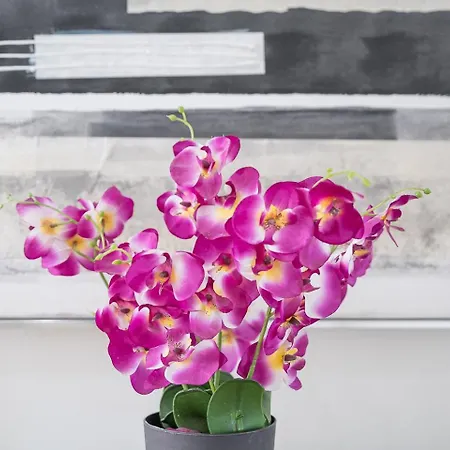 شقة Guestready - Jupiter's Moon